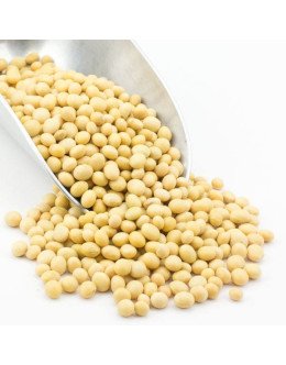 SOYBEAN 500GM